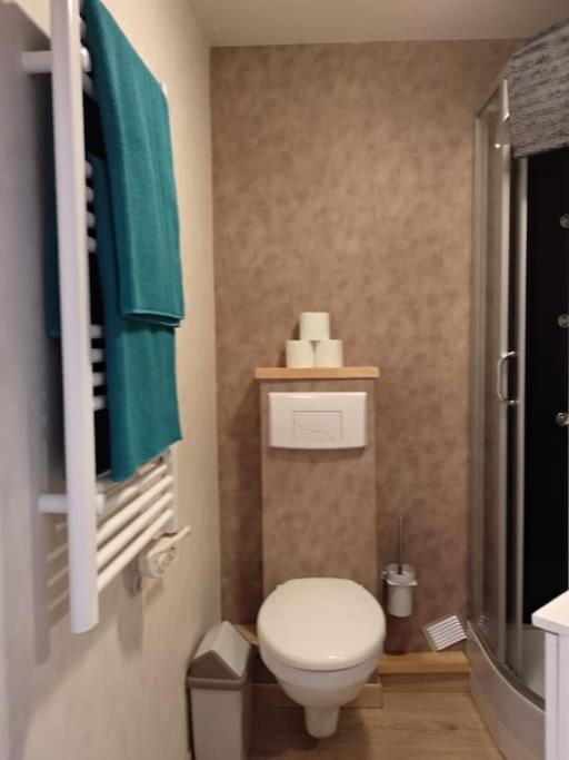 Appartement Centre Ville Rose Toulouse Ngoại thất bức ảnh